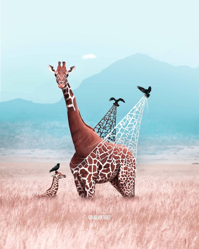 Cet artiste réinvente le monde animal avec ses créations amusantes et réussies Cet artiste réinvente le monde animal avec ses créations amusantes et réussies